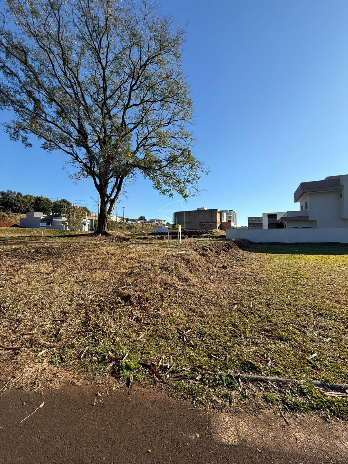 Terreno à venda, Pinheirinho, FRANCISCO BELTRAO - PR - Jean Imóveis