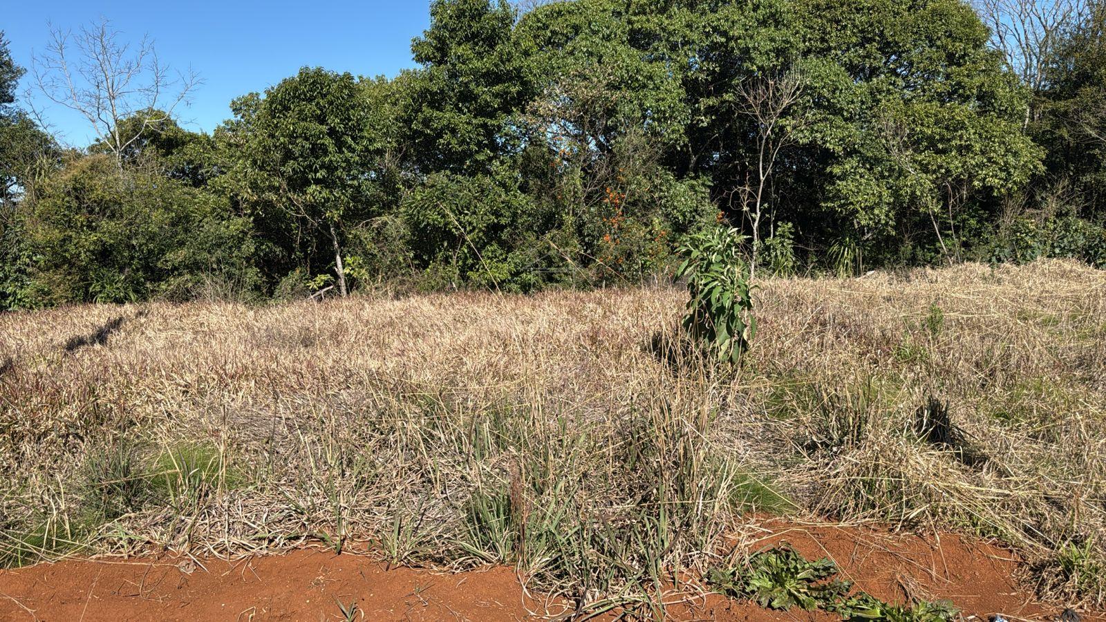 Terreno à venda, SÃO CRISTÓVÃO, FRANCISCO BELTRAO - PR - Jean Imóveis