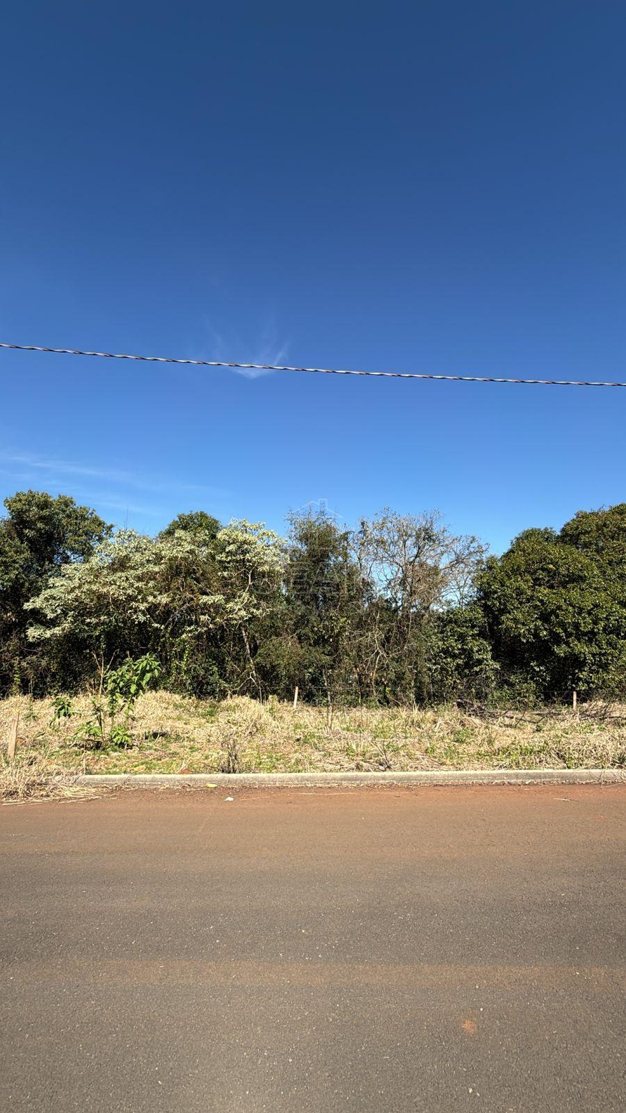 Terreno à venda, SÃO CRISTÓVÃO, FRANCISCO BELTRAO - PR - Jean Imóveis