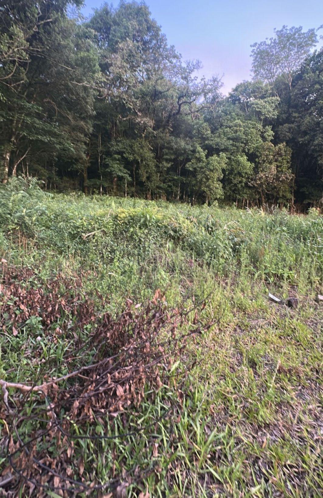 Lote à venda, COOHABITRAN, FRANCISCO BELTRÂO - PR - Jean Imóveis