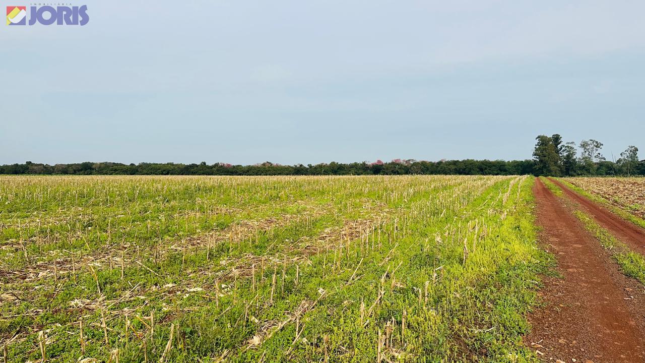 Área Rural - Distrito de Porto Mendes