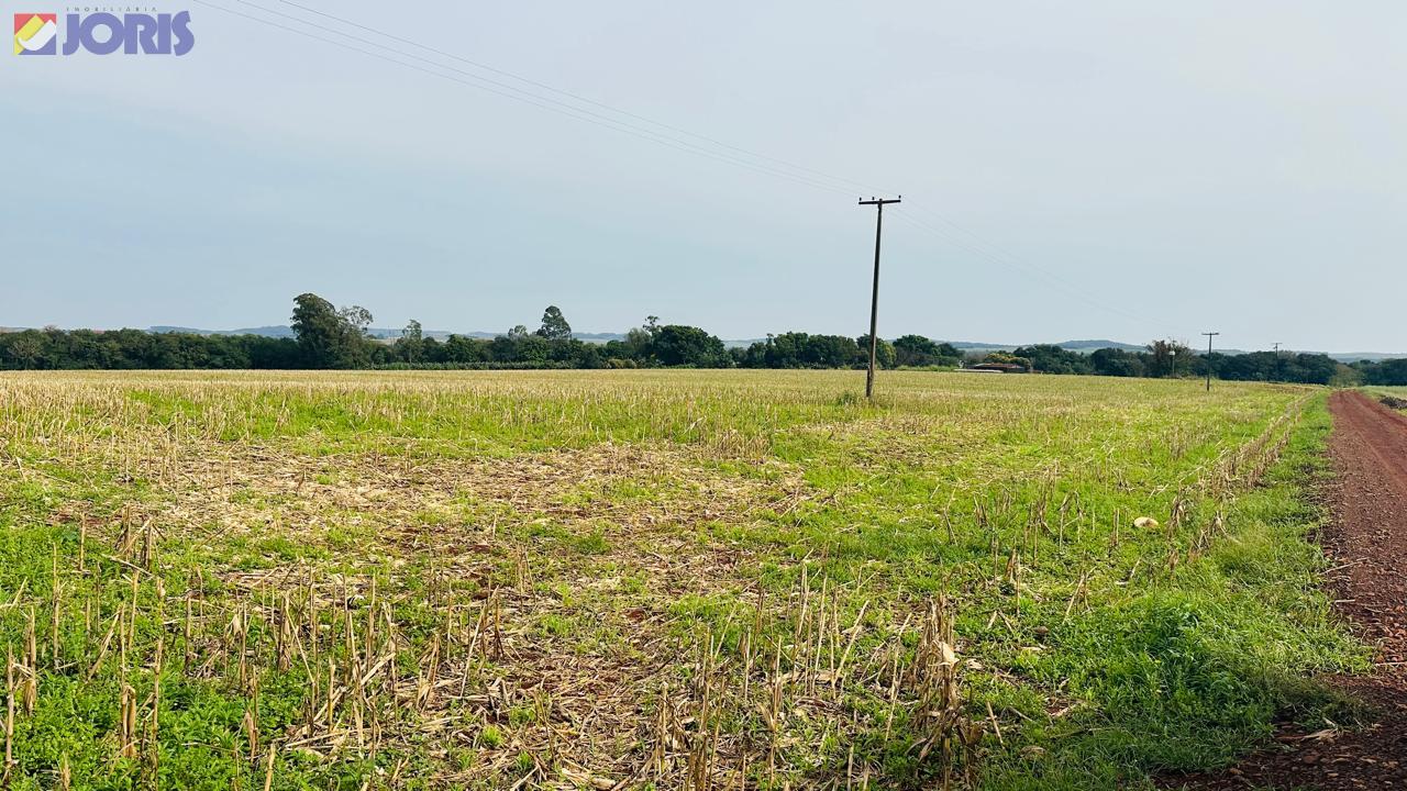Área Rural - Distrito de Porto Mendes