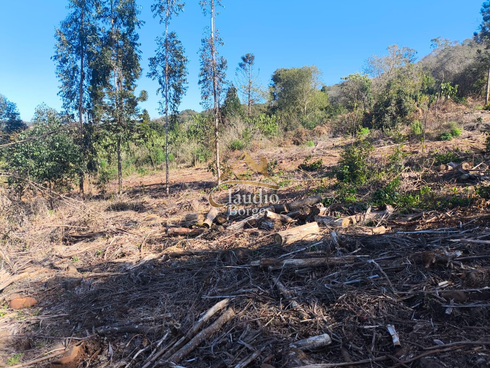 Vieira Imveis em Francisco Beltro PR