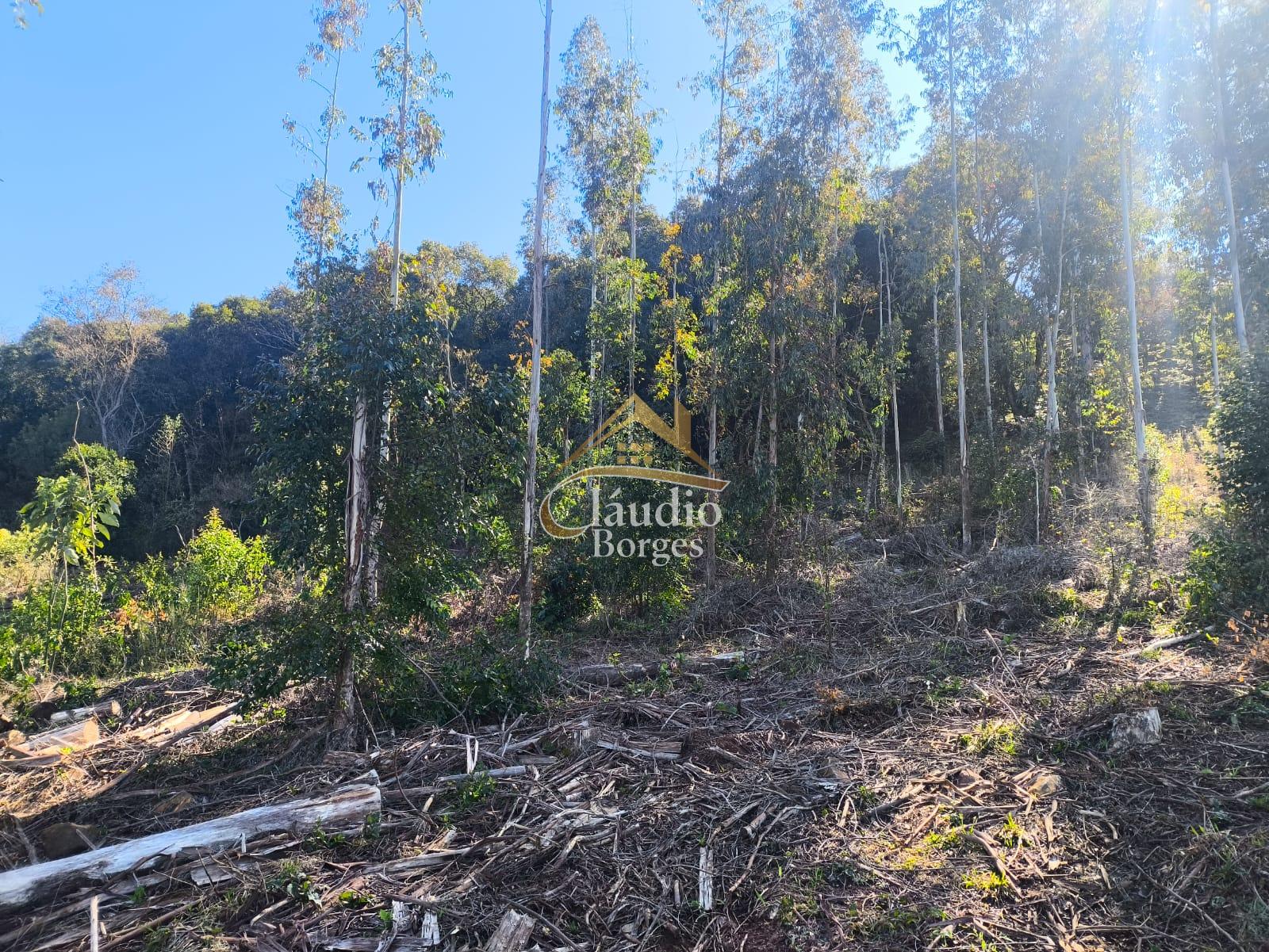 Vieira Imveis em Francisco Beltro PR