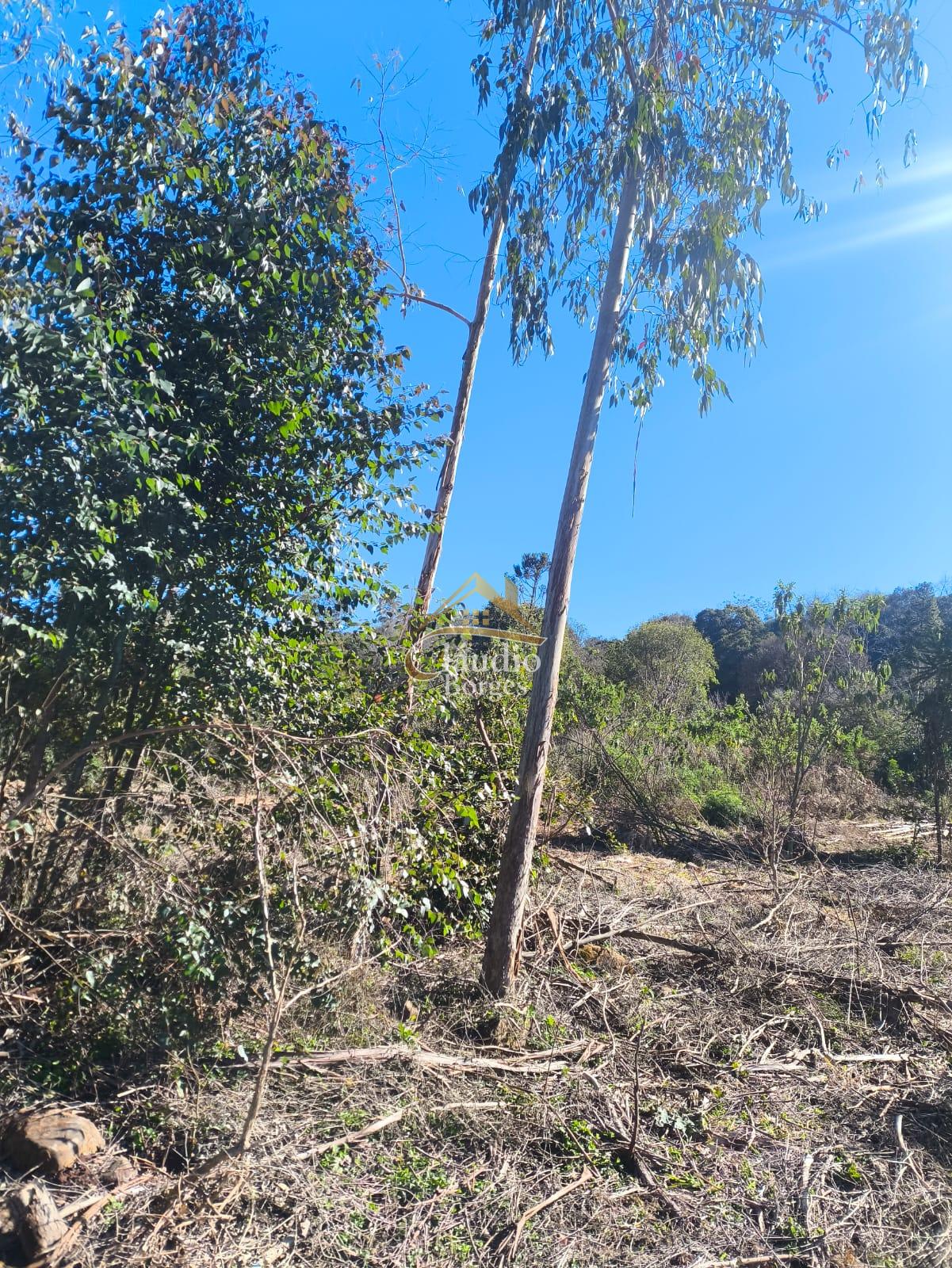 Vieira Imveis em Francisco Beltro PR