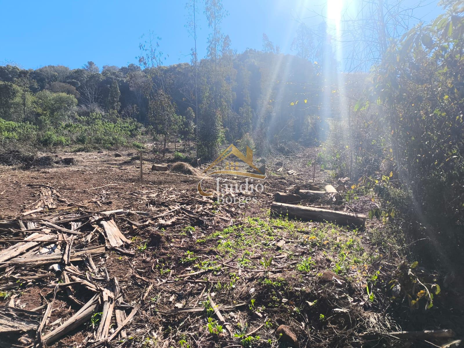Vieira Imveis em Francisco Beltro PR