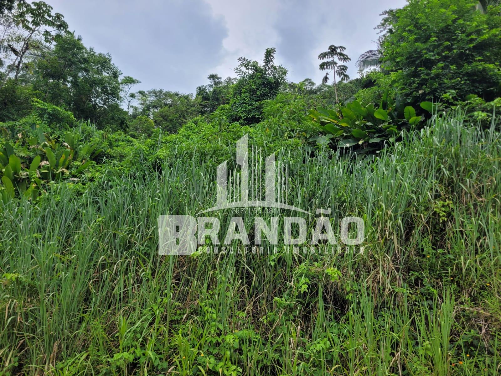 Terreno, Amizade,                         GUARAMIRIM - SC