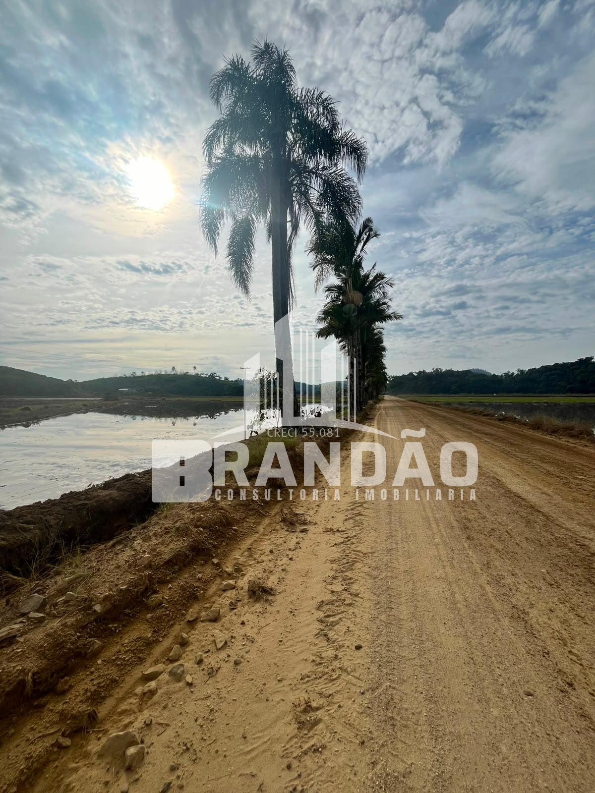 Chácara à venda    , Linha Telegráfica, MASSARANDUBA - SC