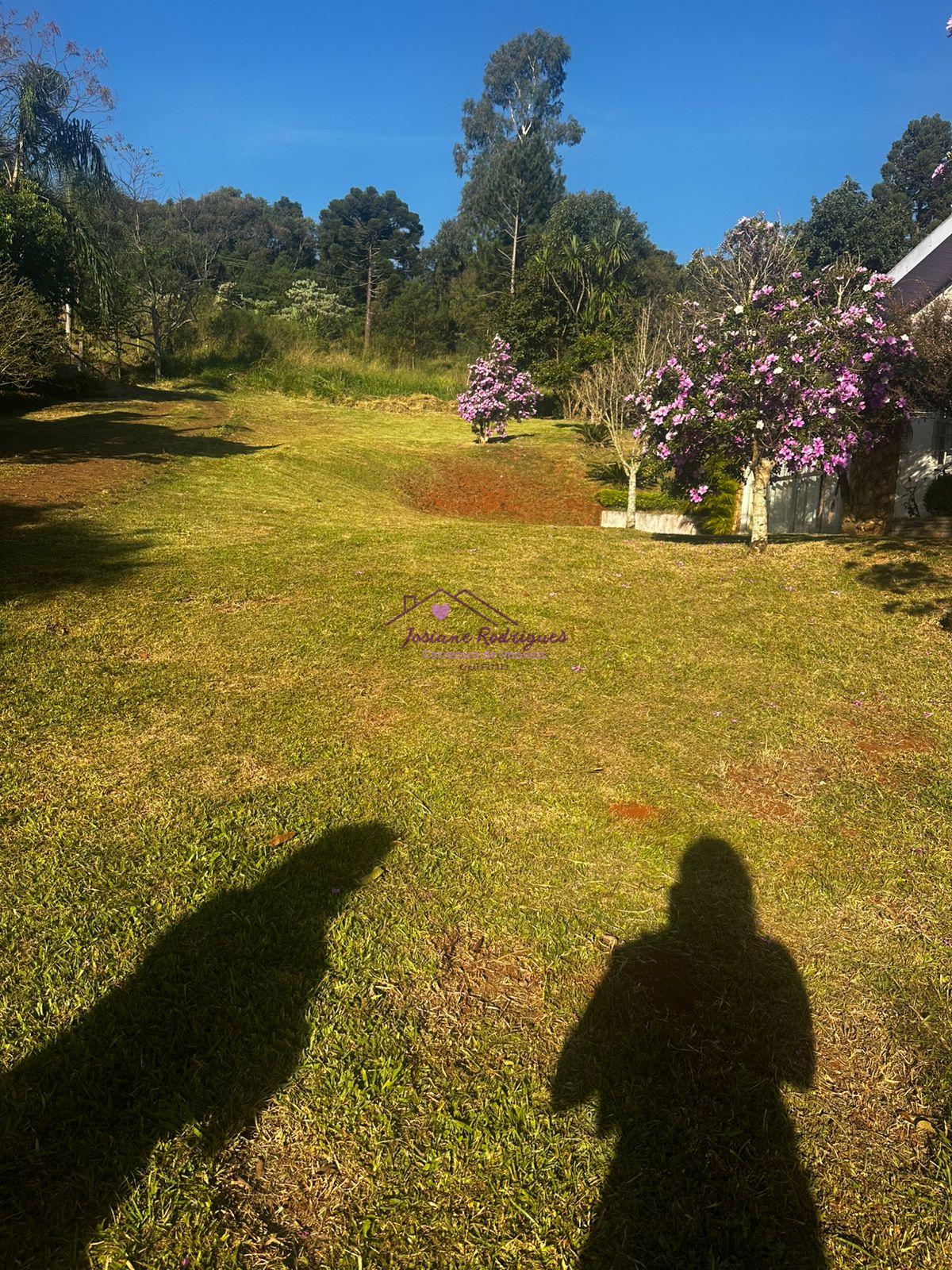 TERRENO INDUSTRIAL 1.754,09m   NA CIDADE DE  PATO BRANCO