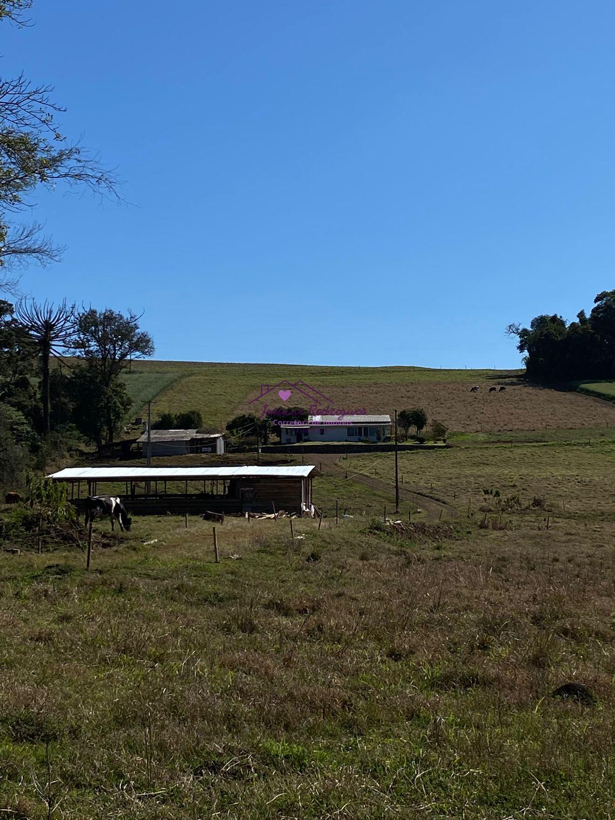 CHÁCARA COM ÁREA DE  37.510,00m  À VENDA EM BOM SUCESSO DO SUL