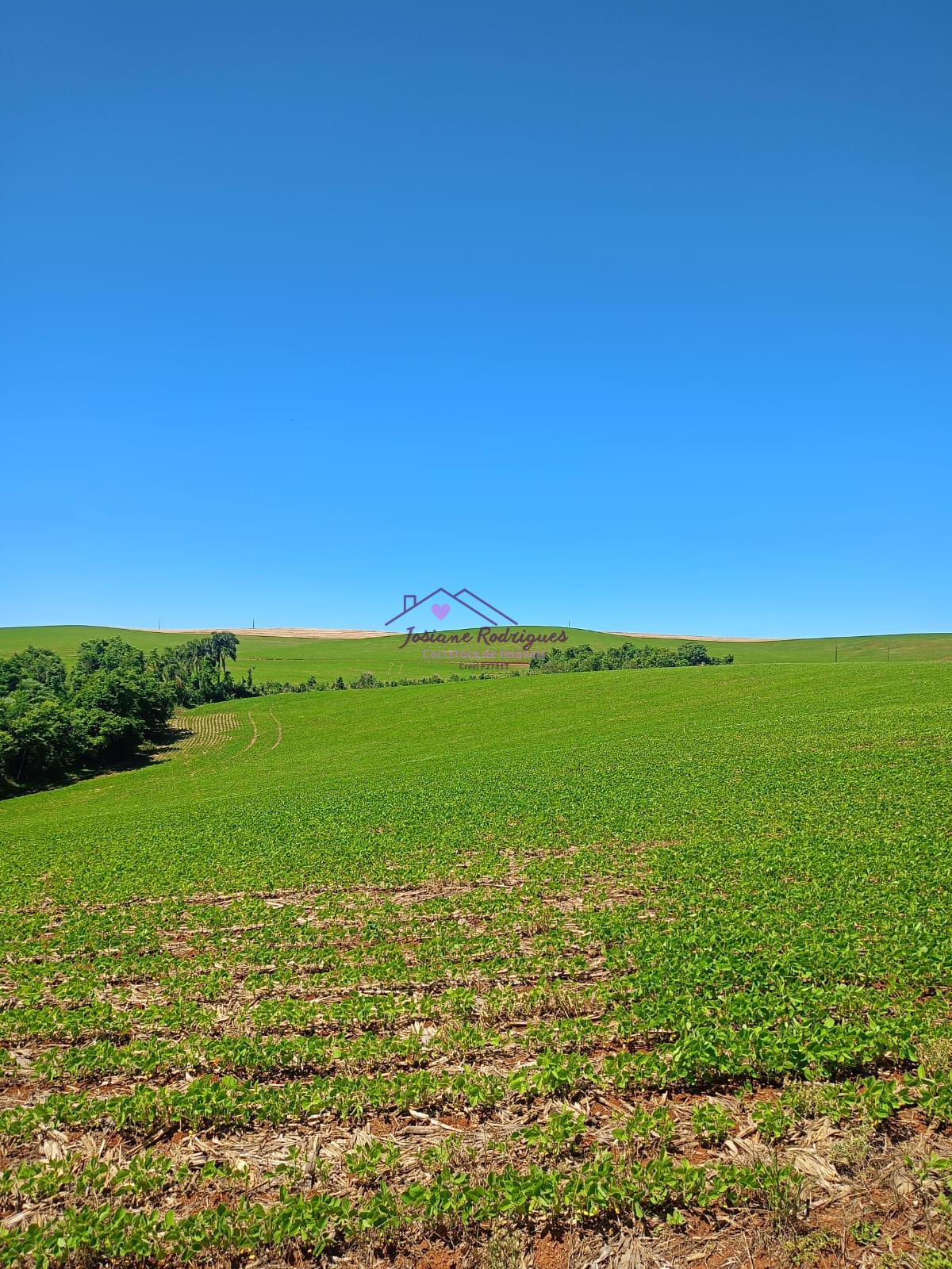 CHACARA A VENDA EM MARIOPOLIS PR LOCALIZADO NA GLEBA S?O JOAQUIM
