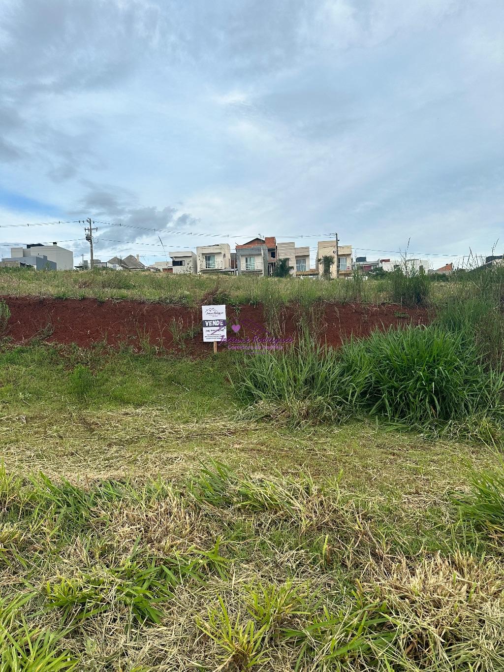 TERRENO ? VENDA DE 312M  DE ?REA  NO BAIRRO FRARON EM PATO BRANCO
