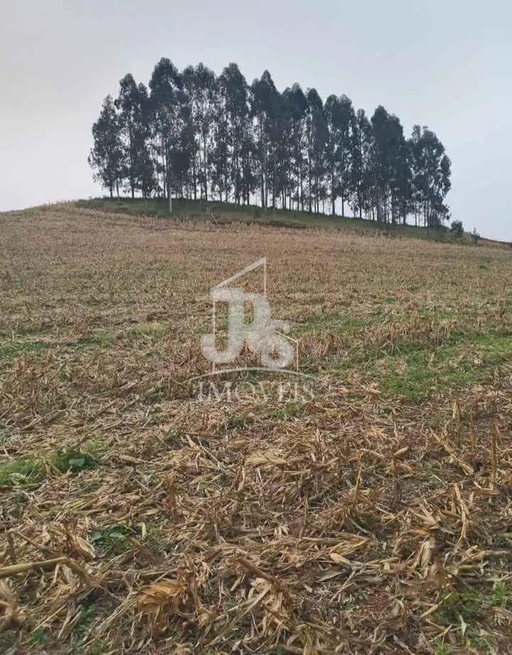 Vieira Imveis em Francisco Beltro PR