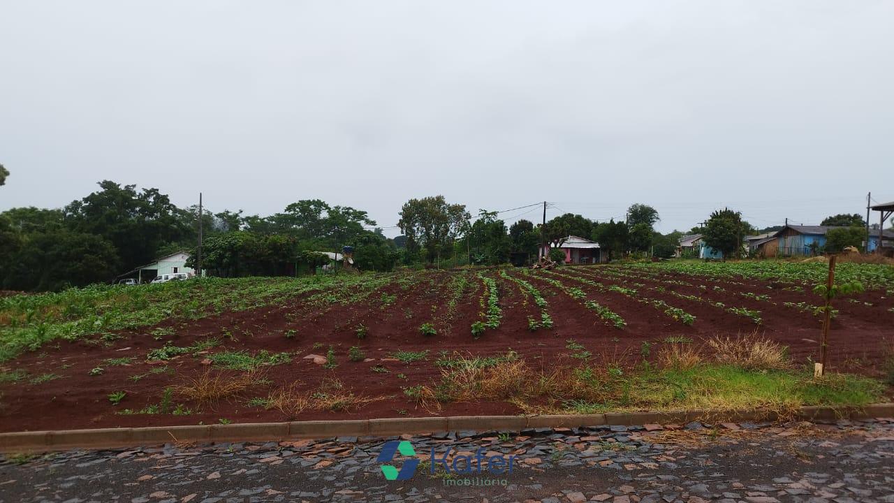 TERRENO Á VENDA - BAIRRO SÃO JOSÉ OPERÁRIO - CAPANEMA PR