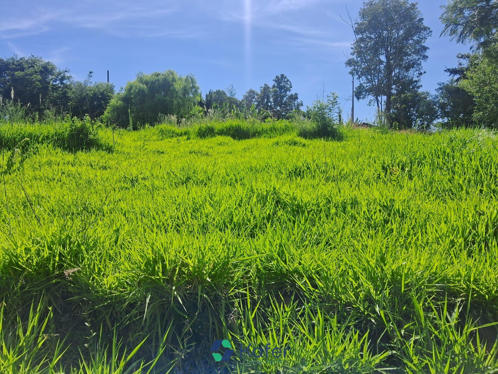 TERRENO Á VENDA BAIRRO SÃO JOSÉ OPERÁRIO CAPANEMA - PR