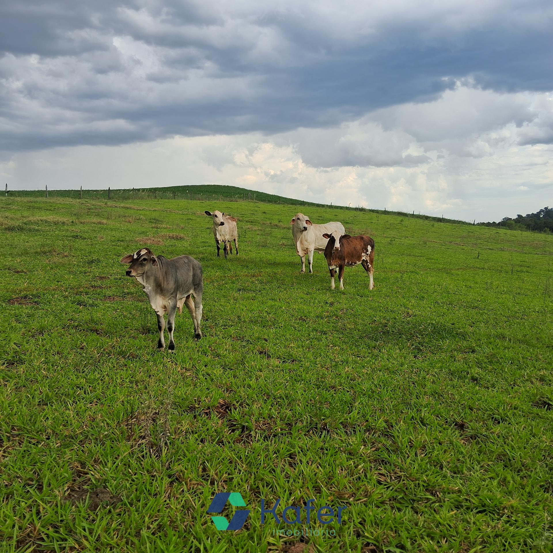 CHÁCARA A VENDA -LINHA SÃO MIGUEL -PLANALTO -PR