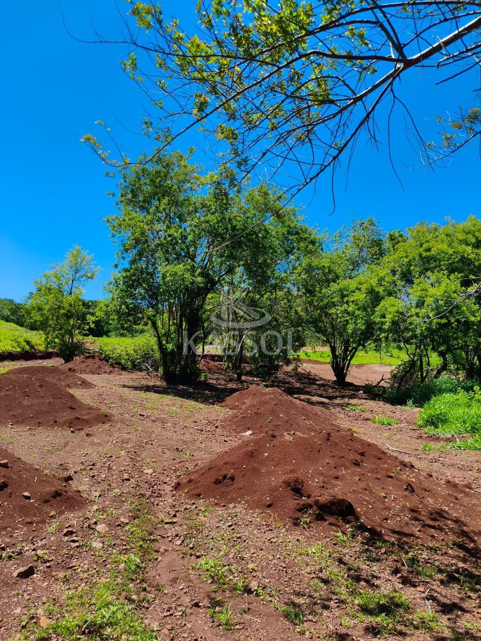 TERRENO BEIRA LAGO TRES BARRAS DO PARAN REA TOTAL 1400 M