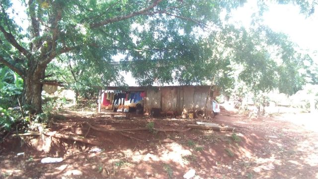 REA RURAL COM 33 ALQUEIRES - 22 PARA CULTIVO SOJA, MILHO E TRIGO