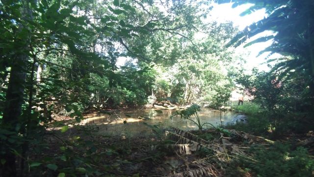 REA RURAL COM 33 ALQUEIRES - 22 PARA CULTIVO SOJA, MILHO E TRIGO