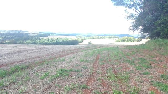 REA RURAL COM 33 ALQUEIRES - 22 PARA CULTIVO SOJA, MILHO E TRIGO