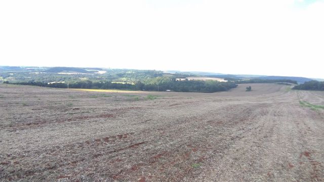 REA RURAL COM 33 ALQUEIRES - 22 PARA CULTIVO SOJA, MILHO E TRIGO