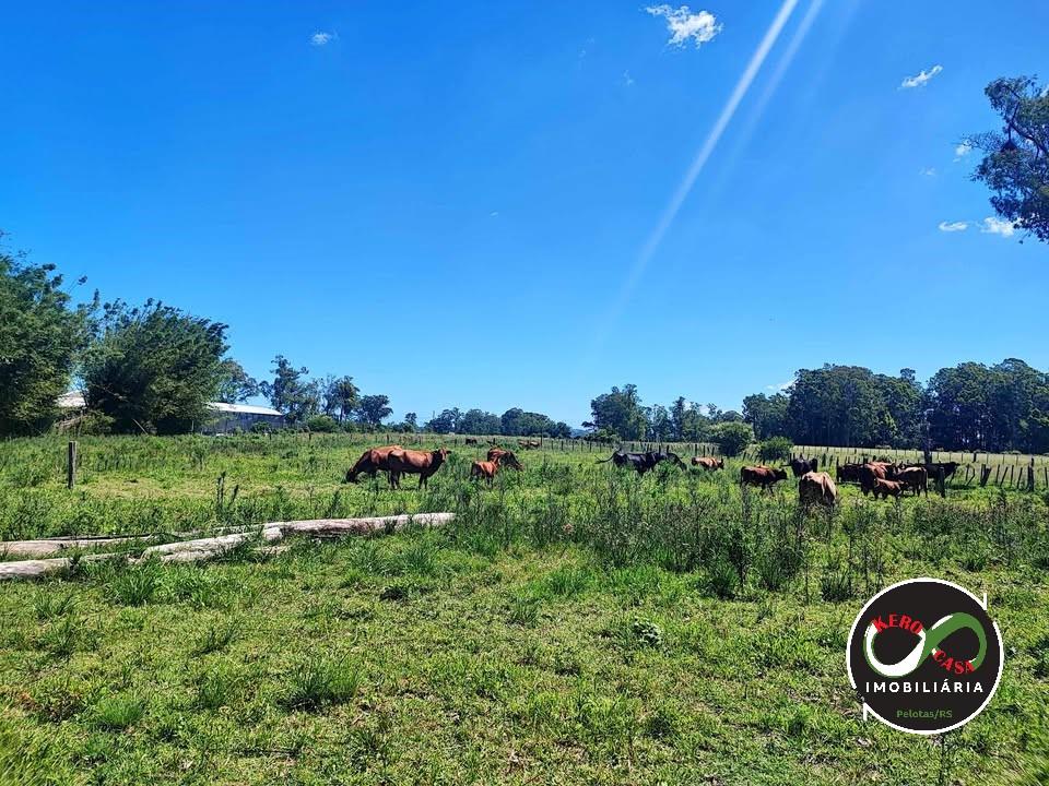 Área Industrial à venda, 11 hectares Passo do Salso, PELOTAS - RS