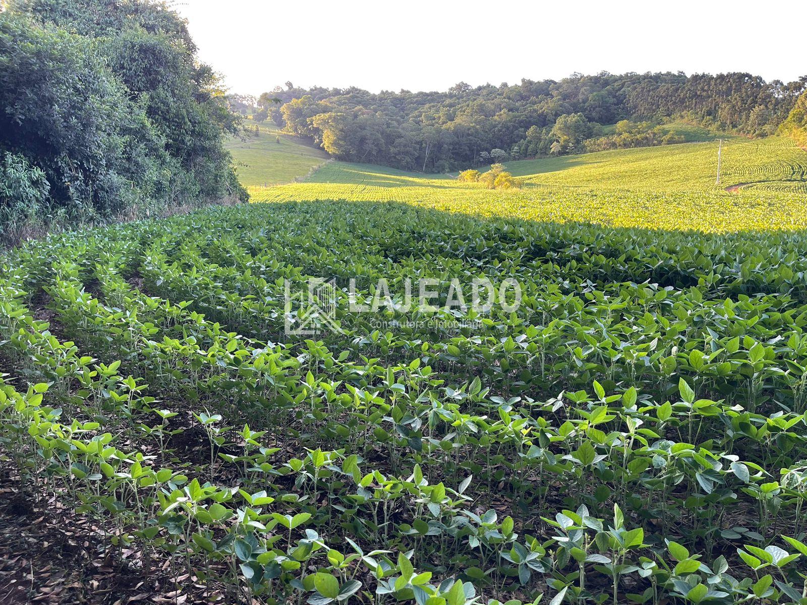 SÍTIO A VENDA, ZONA RURAL, ENEAS MARQUES - PR