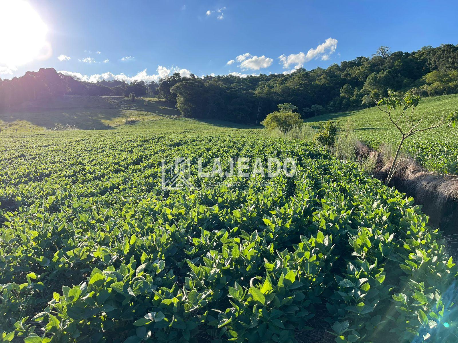 SÍTIO A VENDA, ZONA RURAL, ENEAS MARQUES - PR