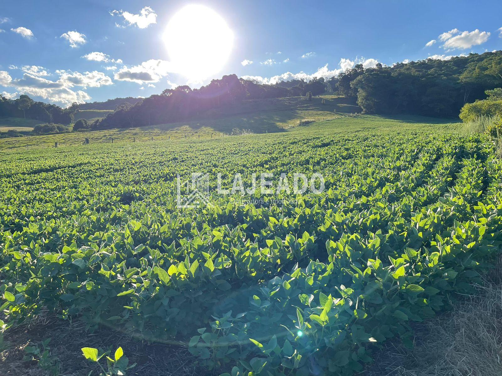 SÍTIO A VENDA, ZONA RURAL, ENEAS MARQUES - PR