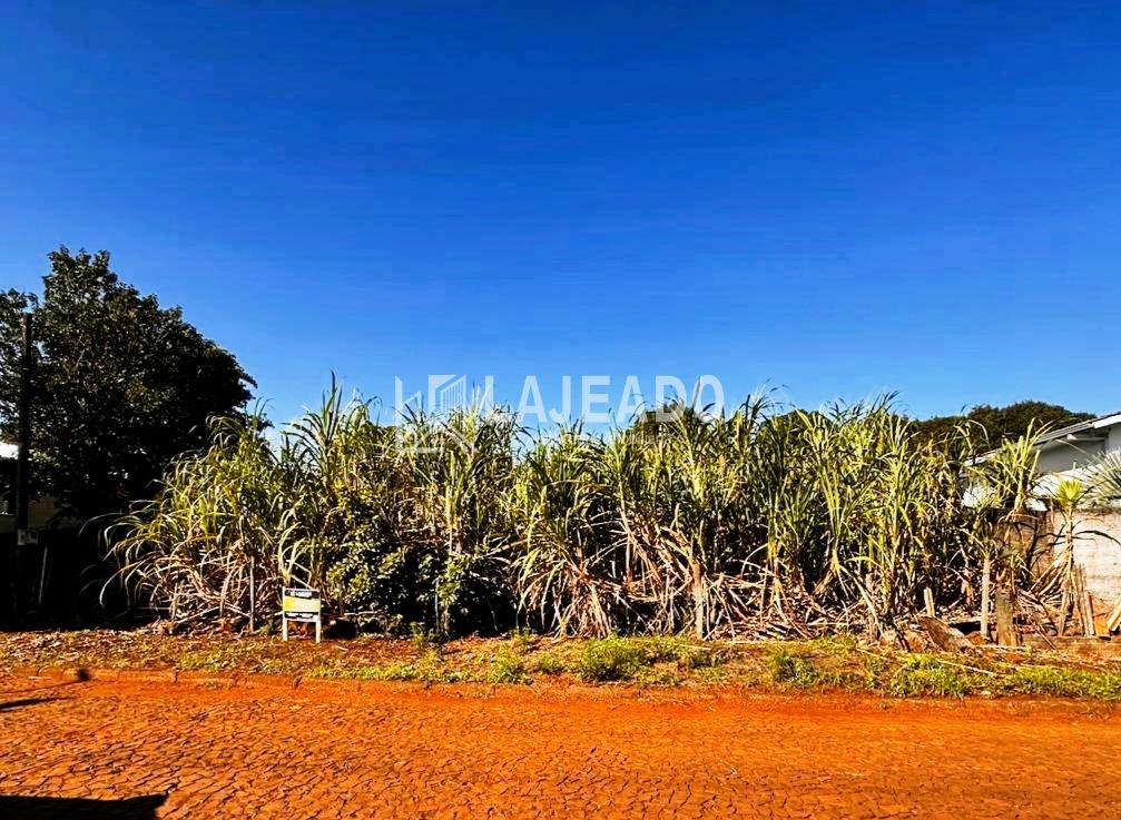 VENDE-SE LOTE, SAO FRANCISCO DE ASSIS, DOIS VIZINHOS - PR