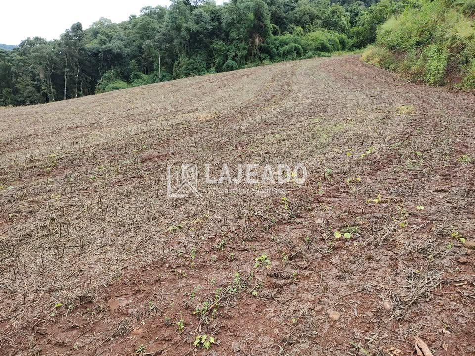 VENDE-SE SÍTIO , ZONA RURAL, FRANCISCO BELTRAO - PR