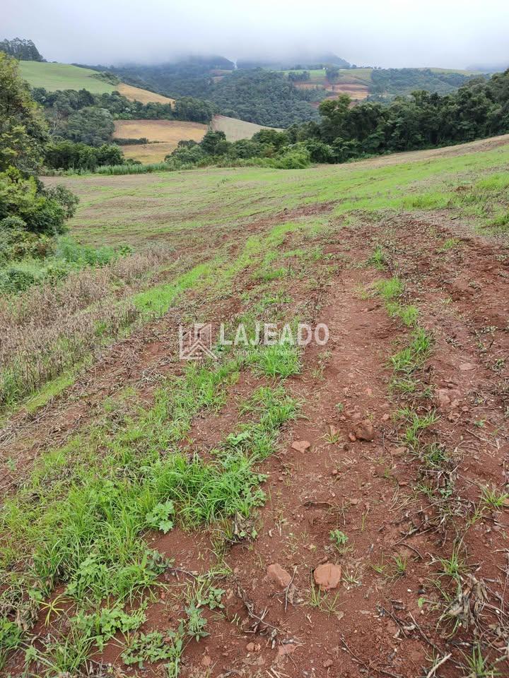 VENDE-SE SÍTIO , ZONA RURAL, FRANCISCO BELTRAO - PR