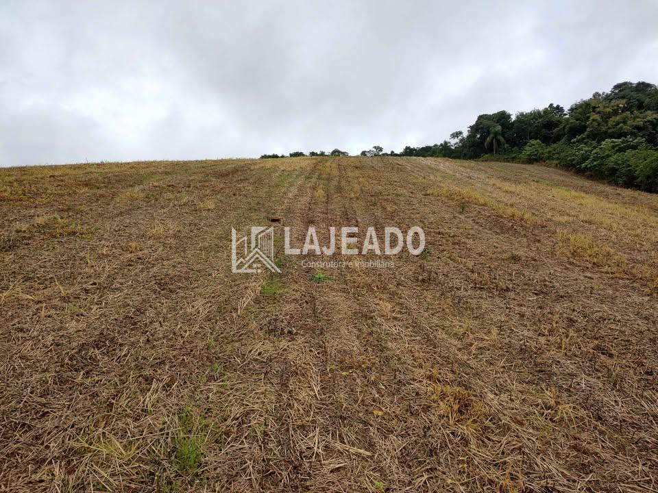 VENDE-SE SÍTIO , ZONA RURAL, FRANCISCO BELTRAO - PR