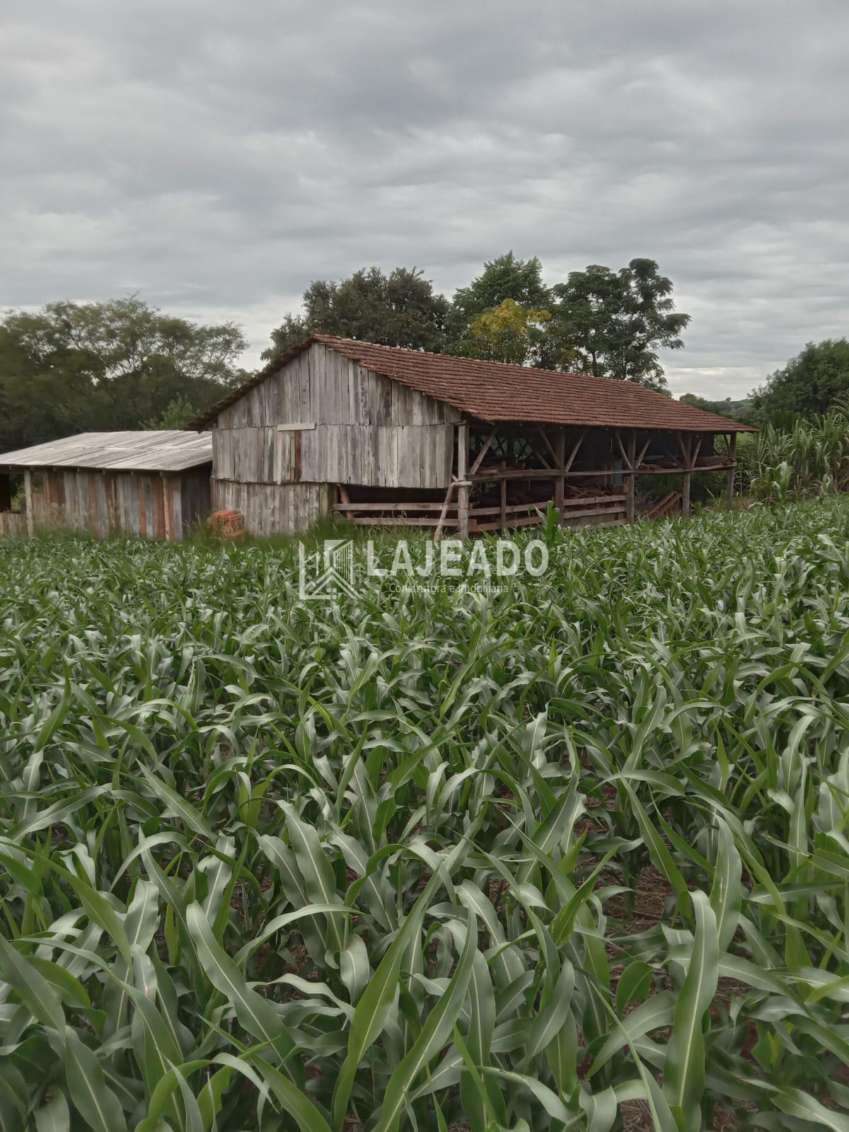 VENDE-SE SÍTIO, ZONA RURAL, DOIS VIZINHOS - PR