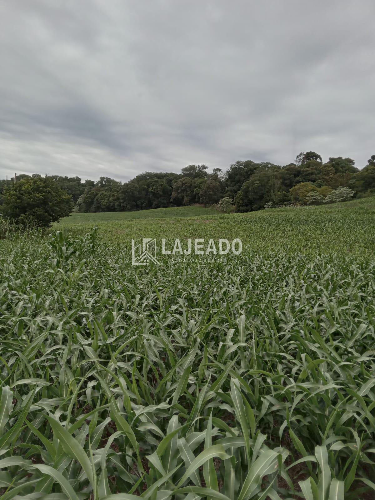 VENDE-SE SÍTIO, ZONA RURAL, DOIS VIZINHOS - PR