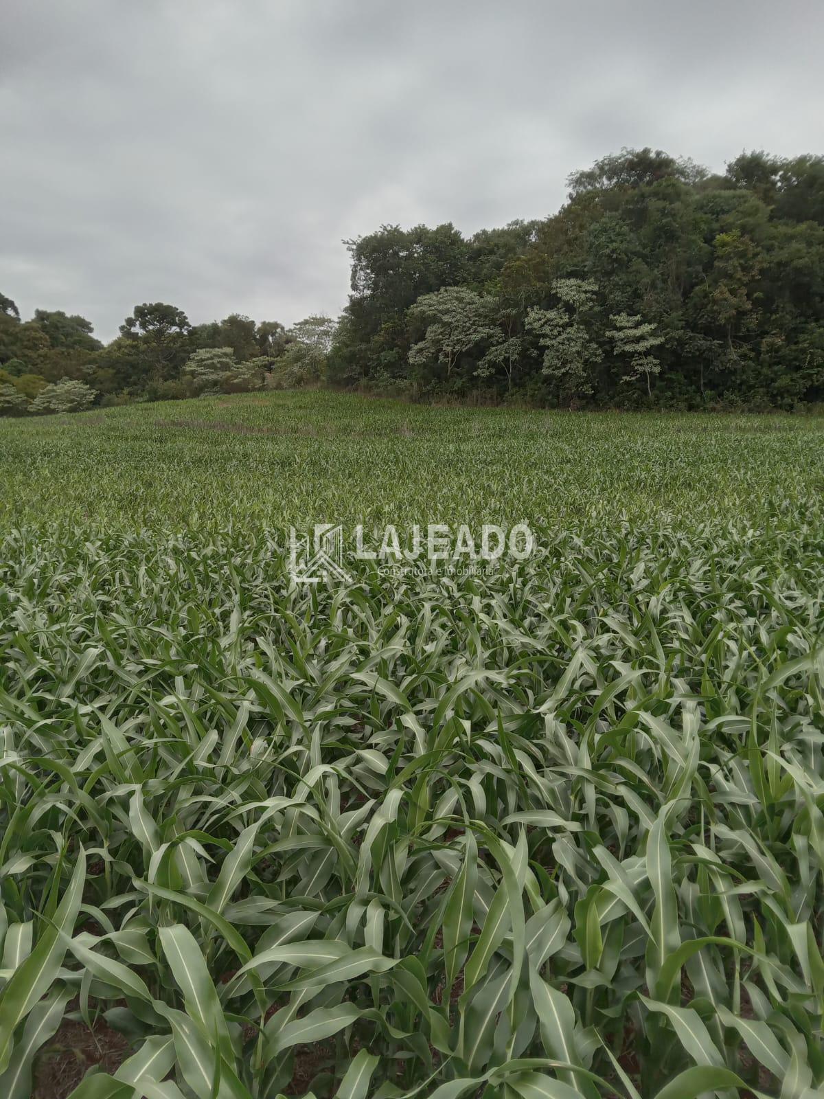 VENDE-SE SÍTIO, ZONA RURAL, DOIS VIZINHOS - PR