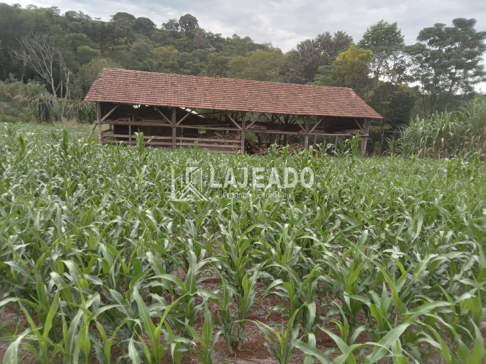 VENDE-SE SÍTIO, ZONA RURAL, DOIS VIZINHOS - PR