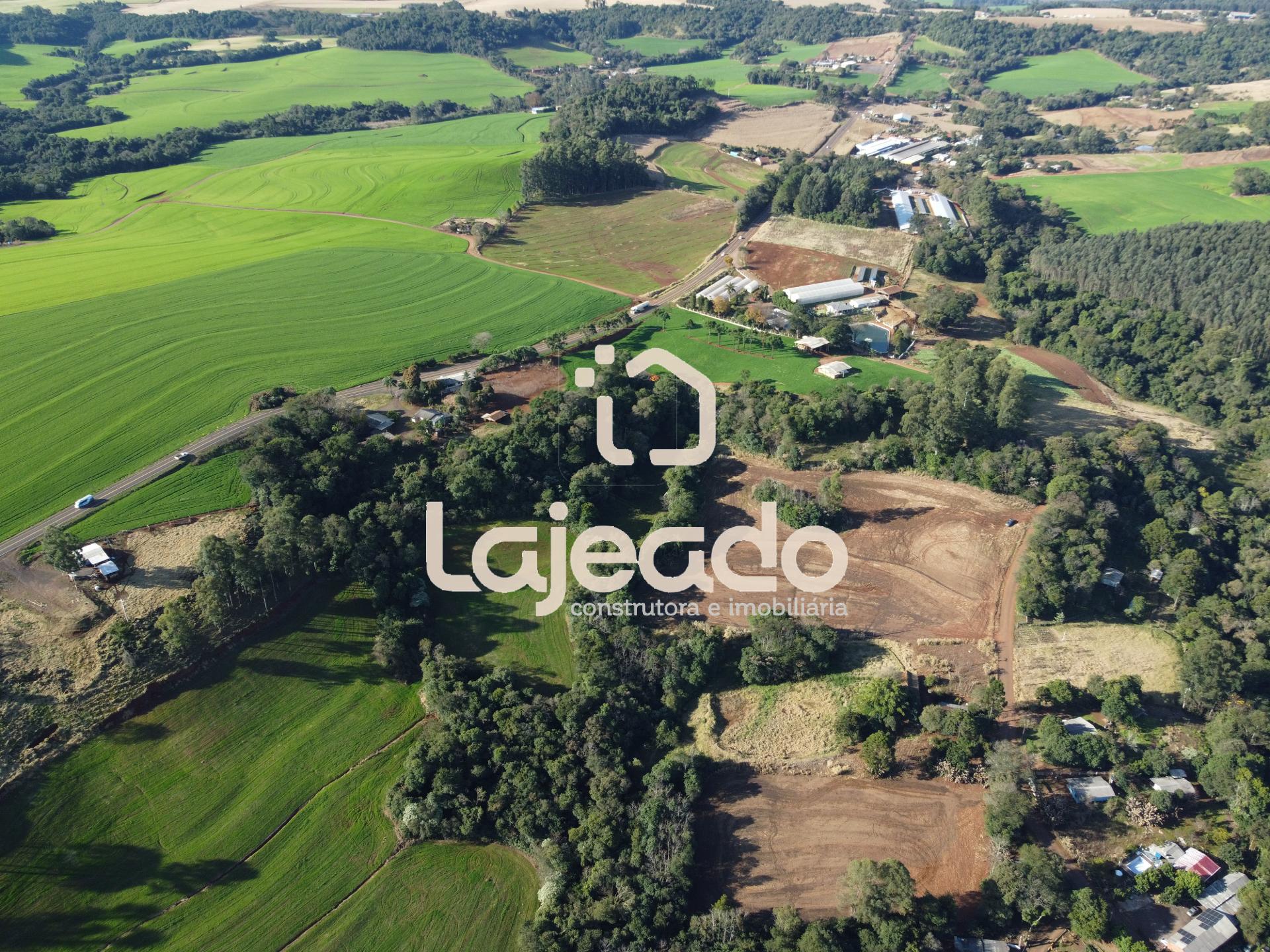 SÍTIO A VENDA NA COMUNIDADE DE  ALTO BELA VISTA, DOIS VIZINHOS...