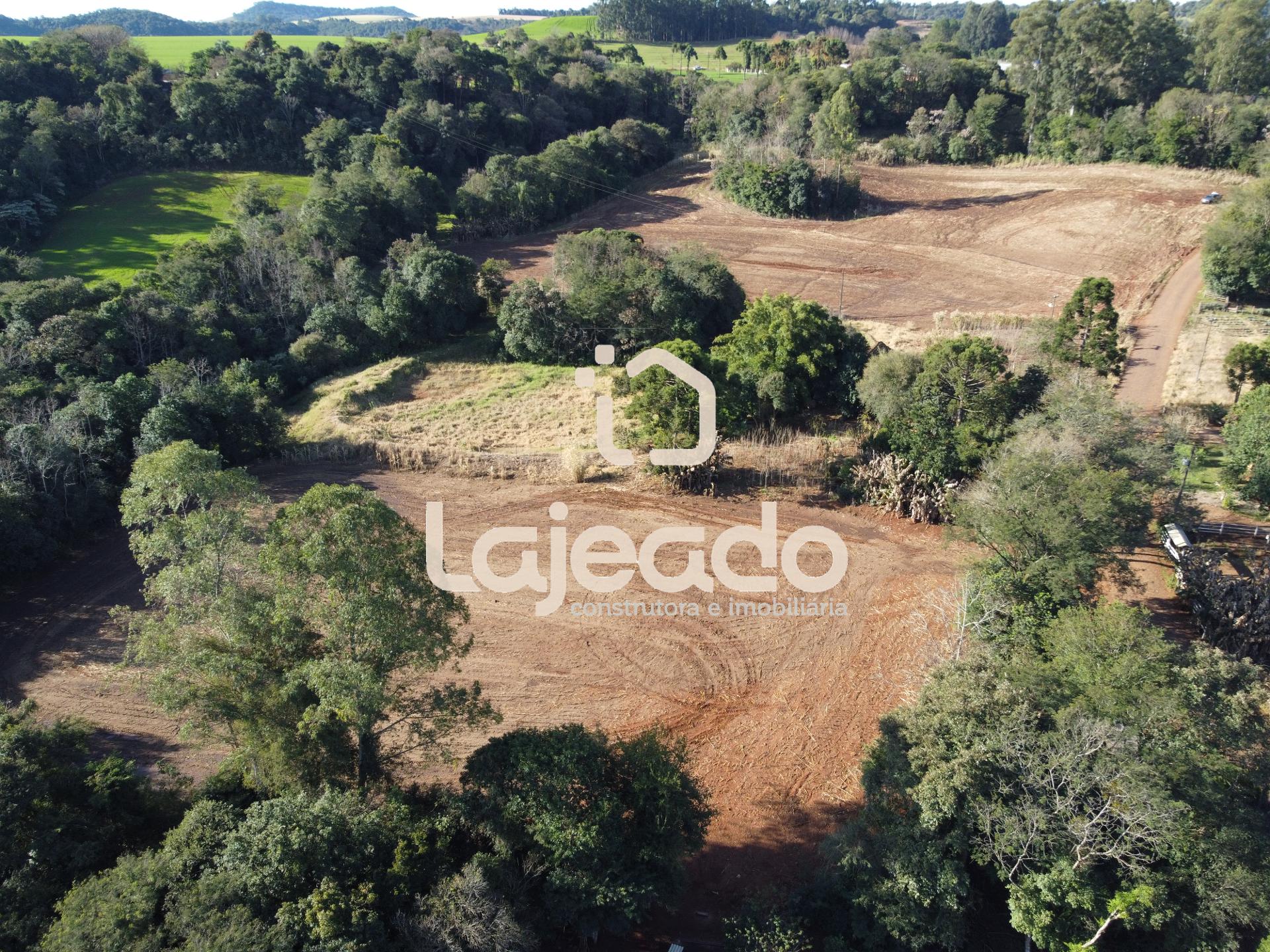 SÍTIO A VENDA NA COMUNIDADE DE  ALTO BELA VISTA, DOIS VIZINHOS...