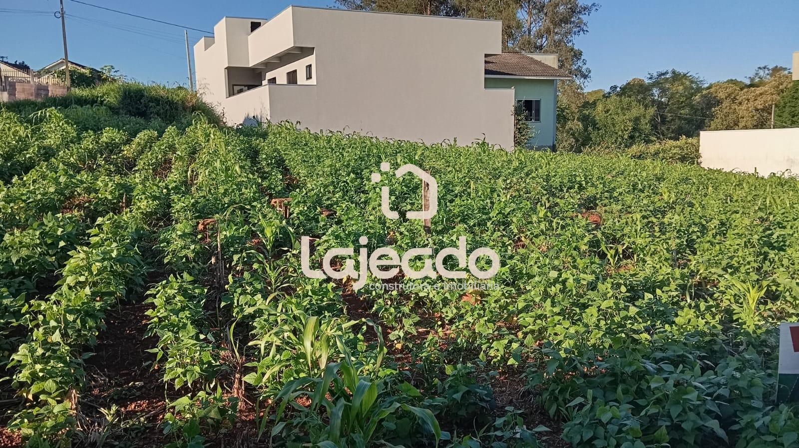 VENDE-SE LOTE, LOCALIZADO NO  RESIDENCIAL CARDOSO - VERDI - DO...