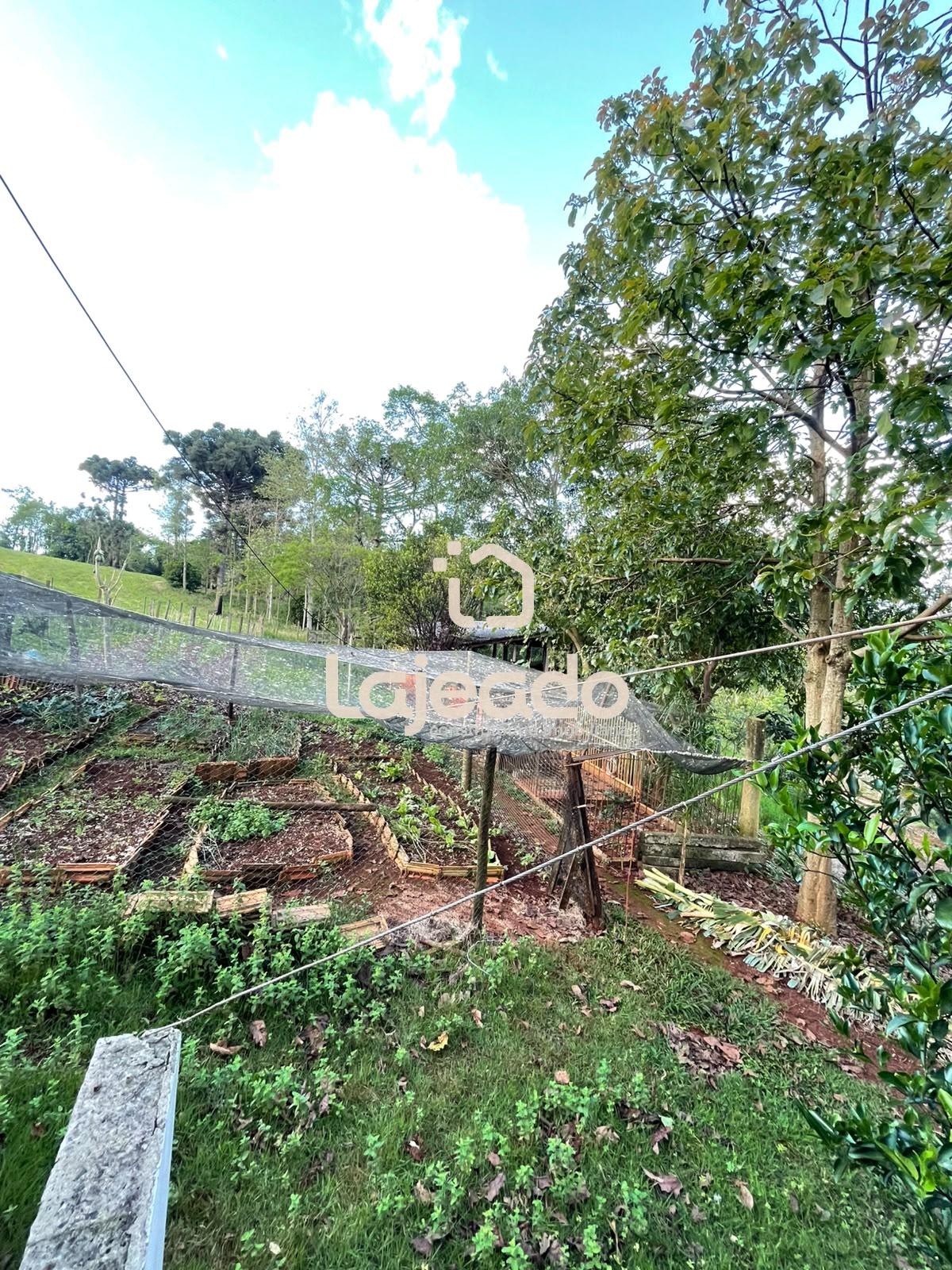 SITÍO A VENDA EM DOIS VIZINHOS - PR HÁ 10 MINUTOS DO CENTRO