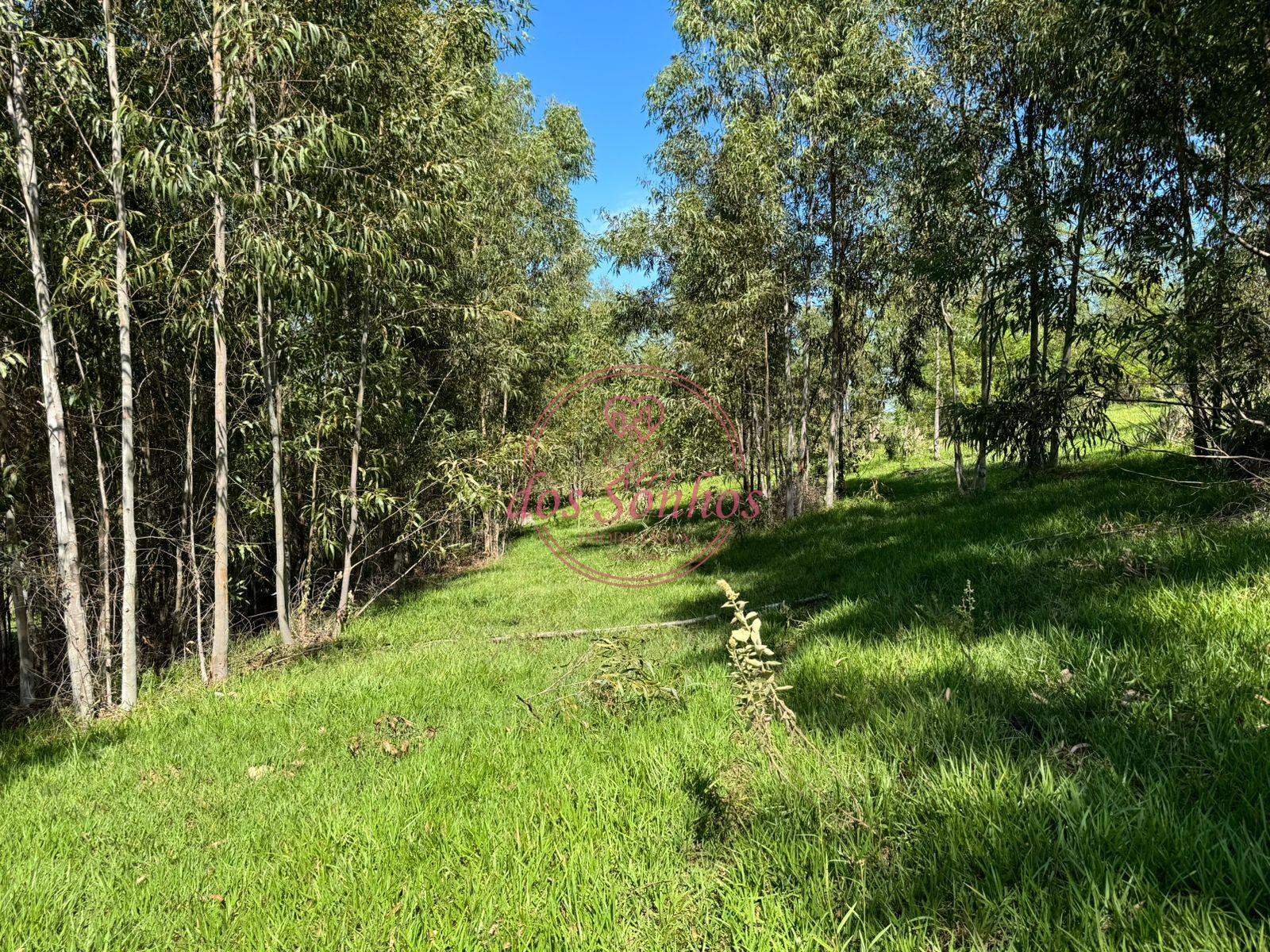 SITIO COM 2 ALQUEIRES PEDIDA 260.000 NOS  2  ALQUEIRES PRESIDE...