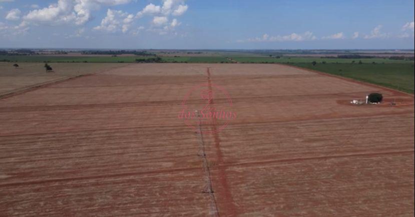 FAZENDA COM PIVOS DE IRRIGACAO, BATAIPORA - MS