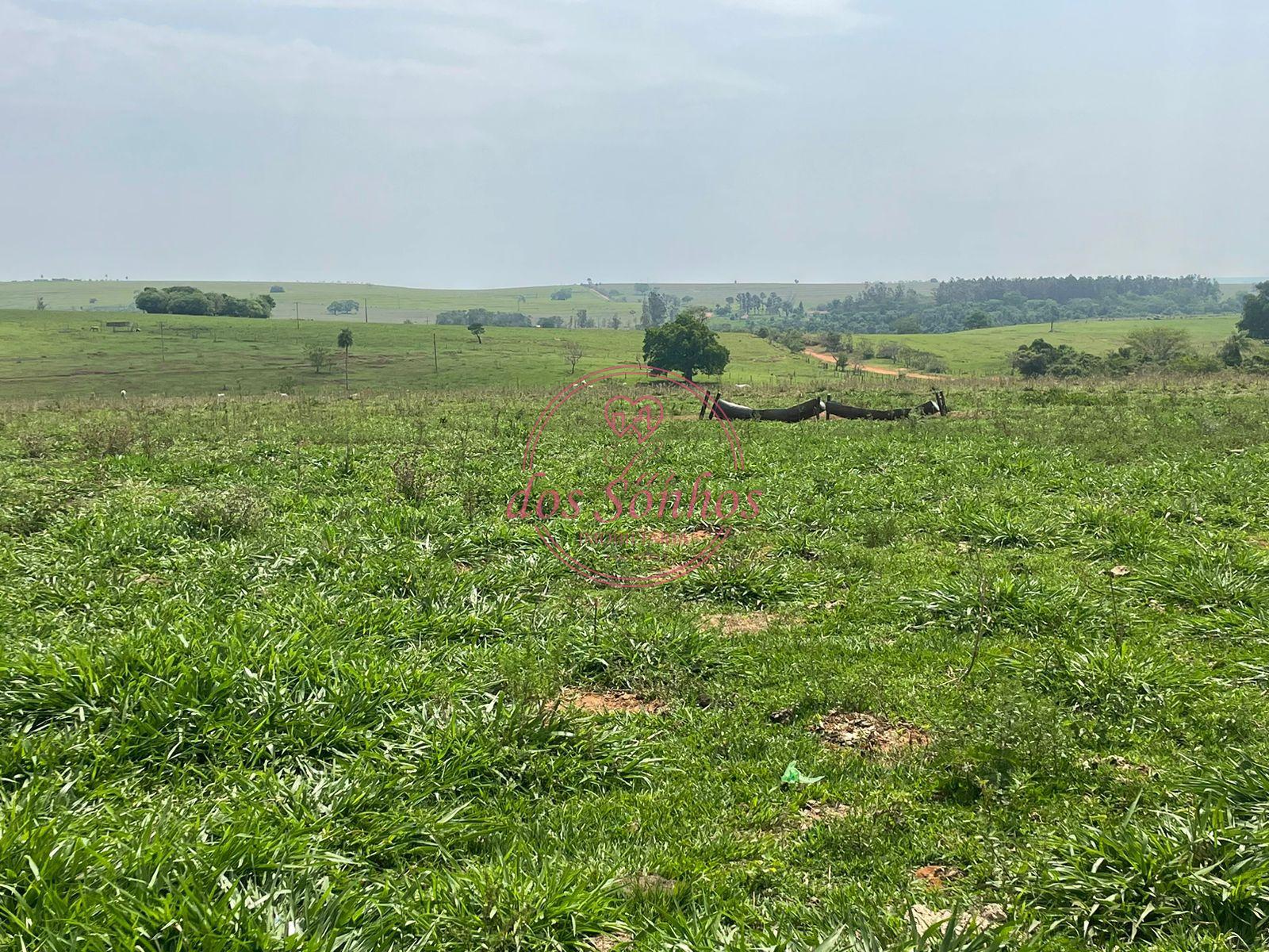 FAZENDA NA REGIAO DE MIRANTE DO PARANAPAN - SP 110 MIL CADA AL...