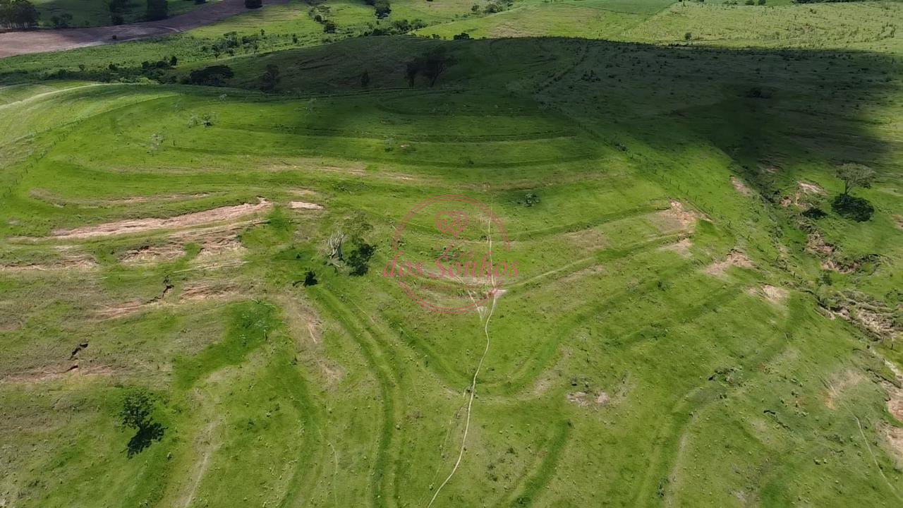 FAZENDA A VENDA,CADA ALQUEIRES 120 MIL PRESIDENTE BERNARDES, P...