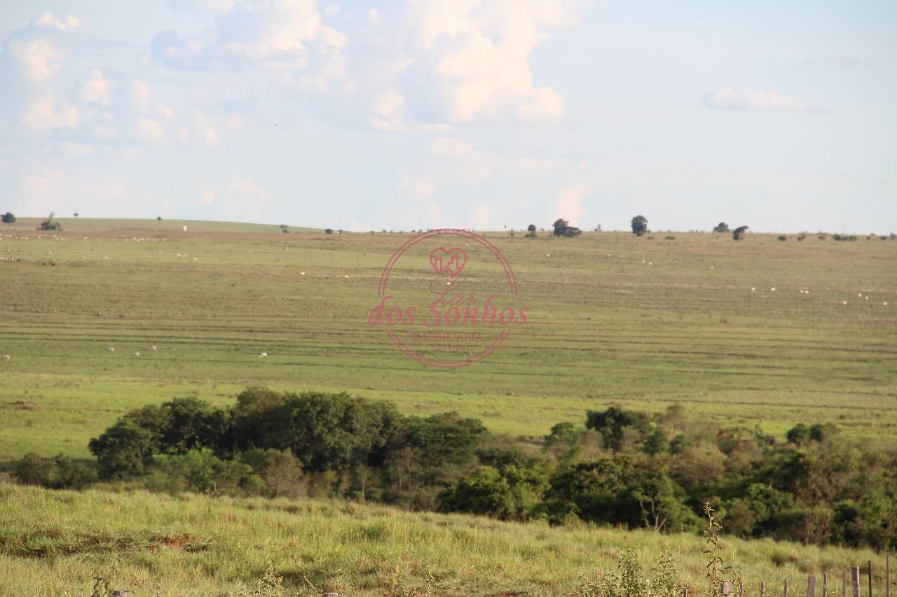 FAZENDA À VENDA, ZONA RURAL, CAIUA - SP.