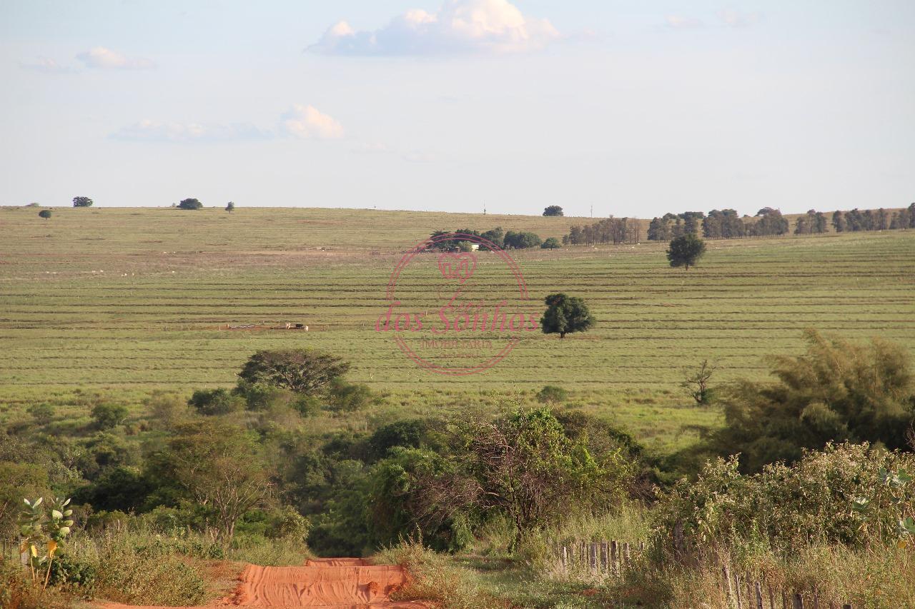 FAZENDA VENDA, ZONA RURAL, CAIUA - SP.