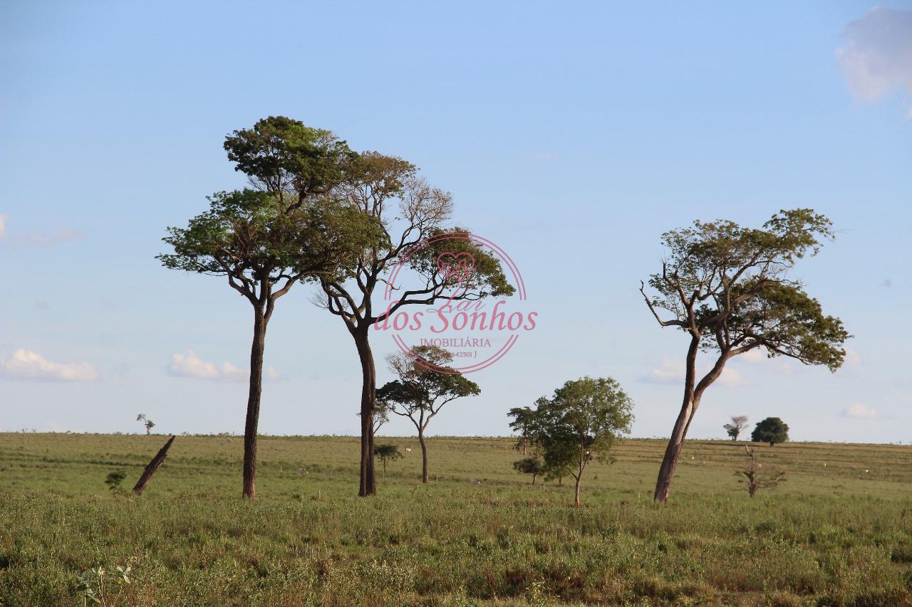 FAZENDA À VENDA, ZONA RURAL, CAIUA - SP.