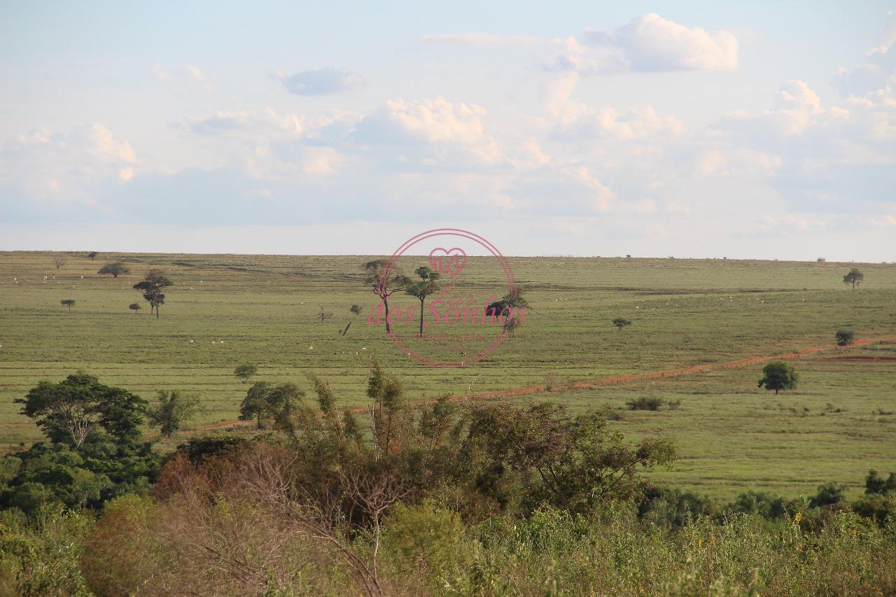FAZENDA À VENDA, ZONA RURAL, CAIUA - SP.