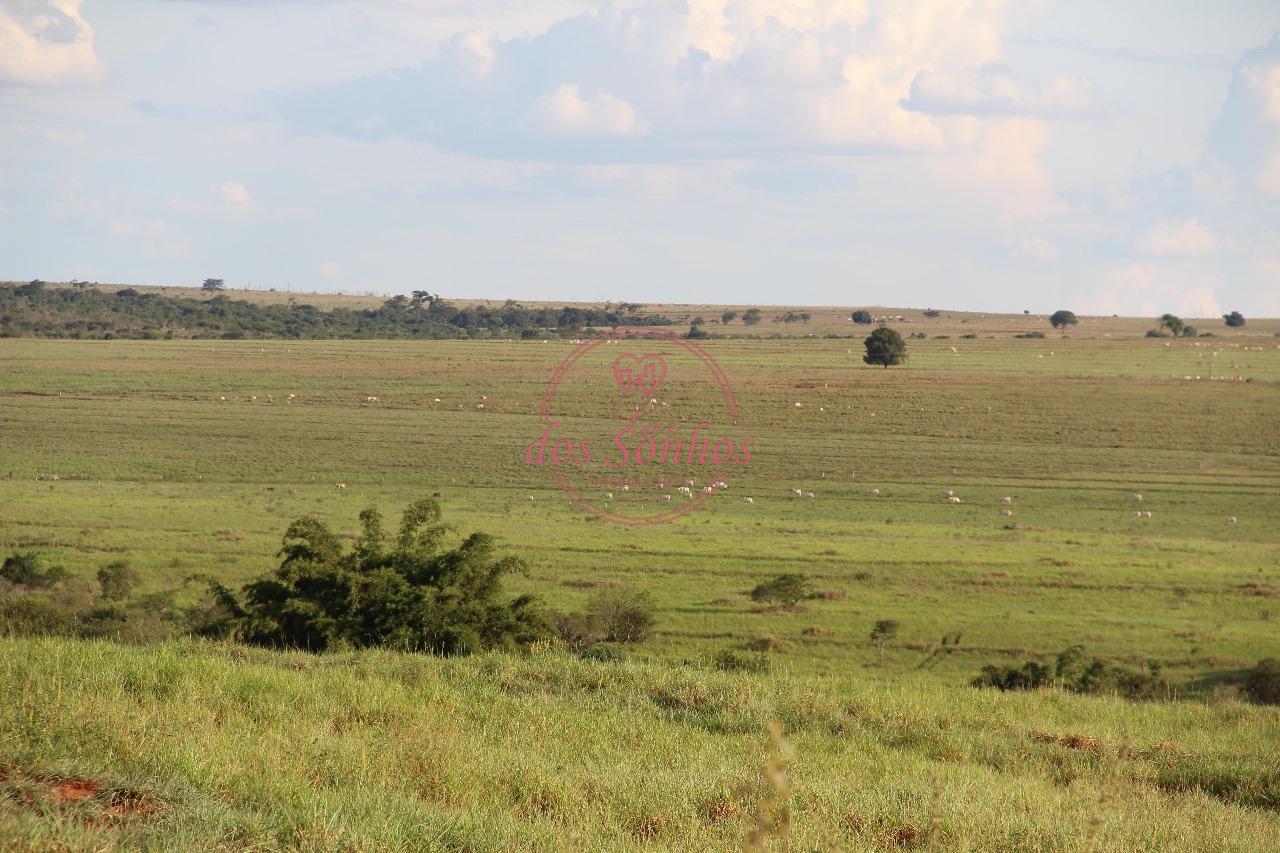 FAZENDA À VENDA, ZONA RURAL, CAIUA - SP.
